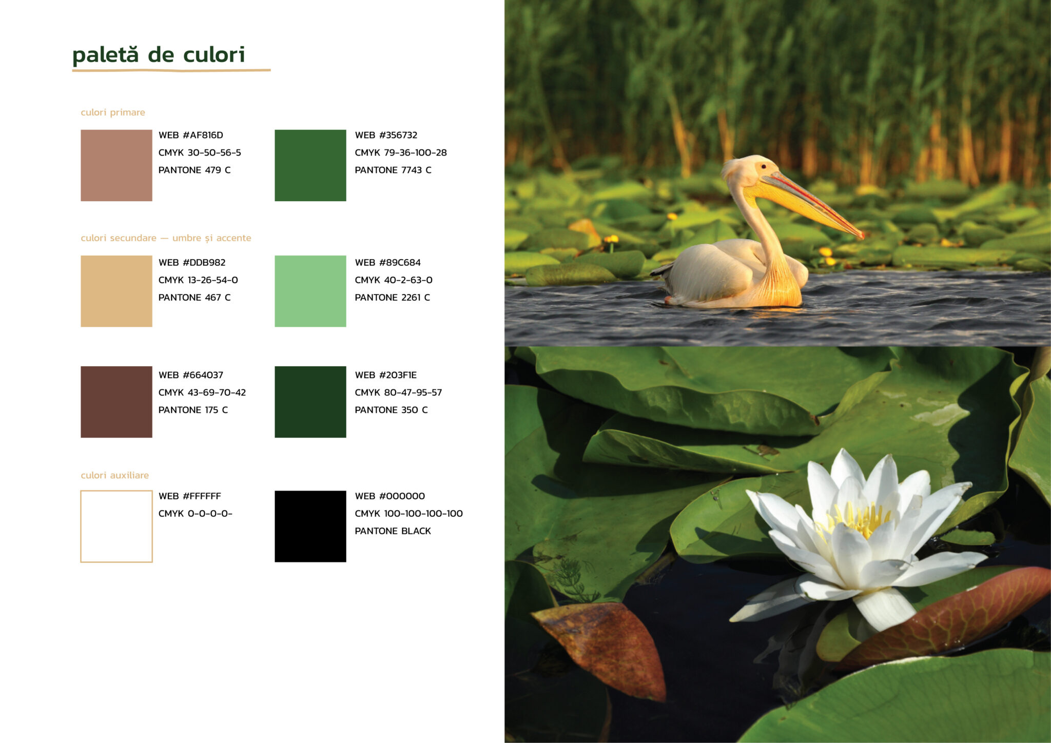 paidinstuf-portfolio-10