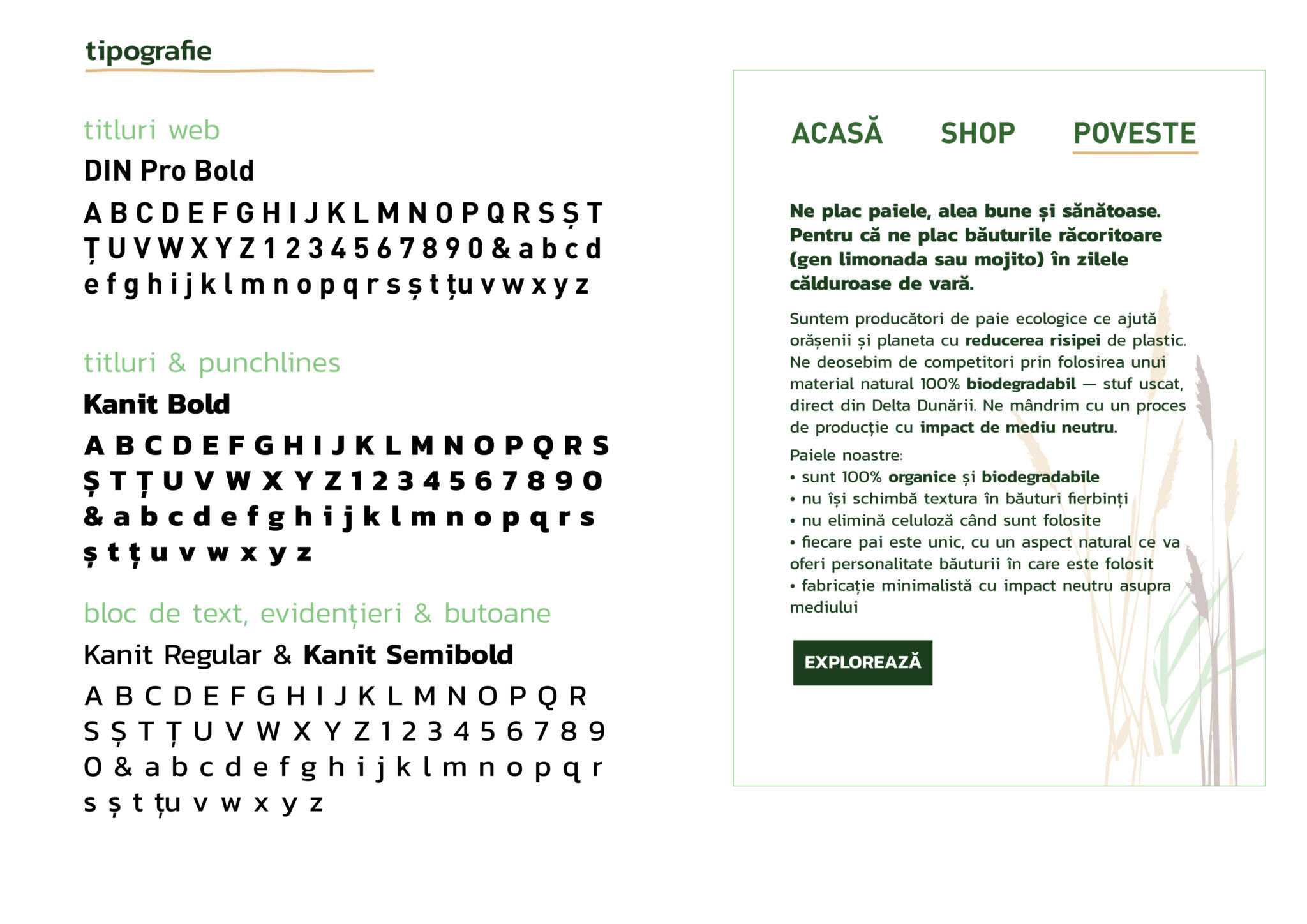 paidinstuf-portfolio-13